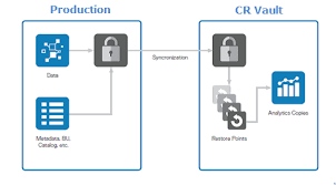 Dell Cyber Recovery Vault